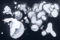 Frozen Bubbles VI