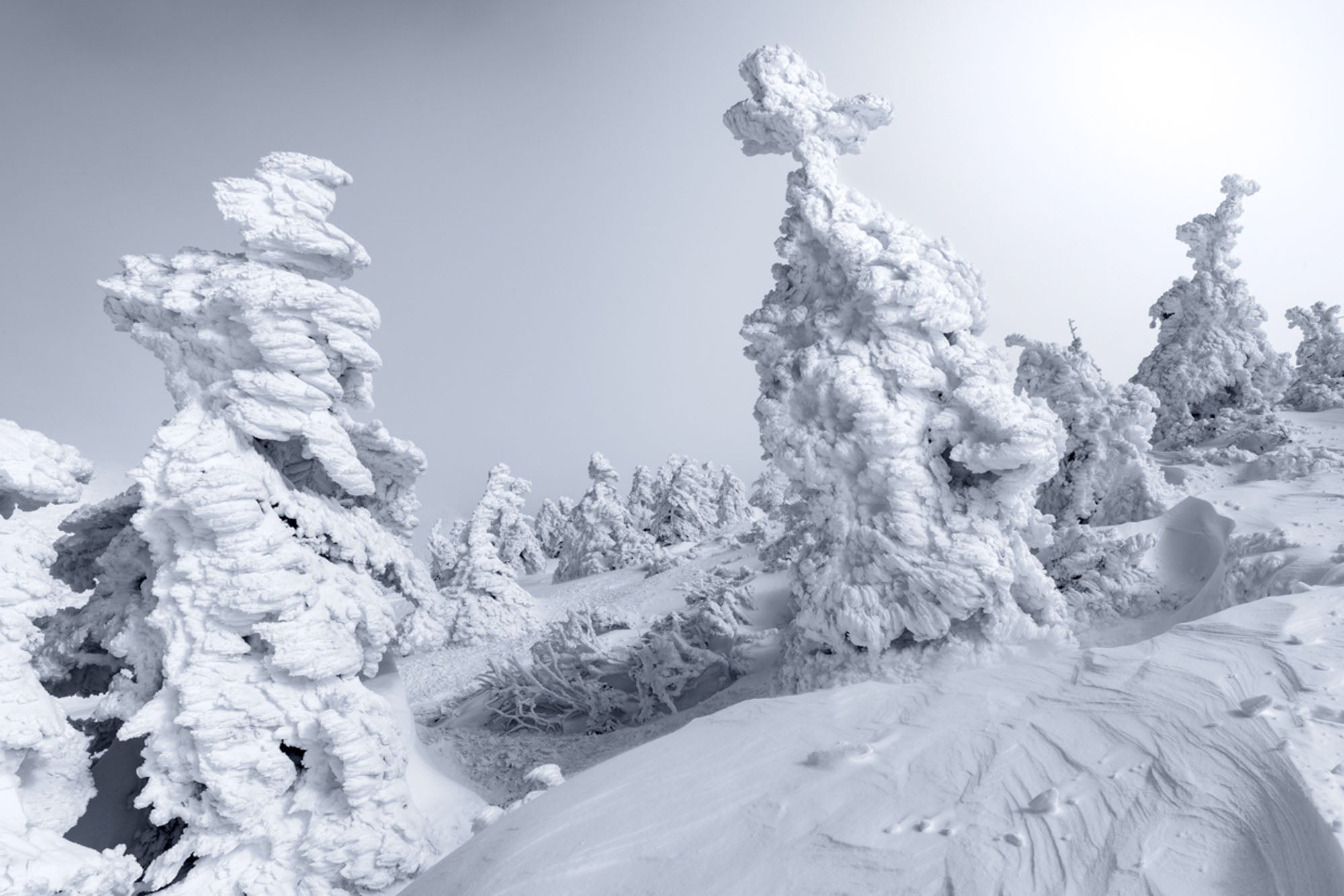 Northern Cross by Tom Jacobi, limited edition photography