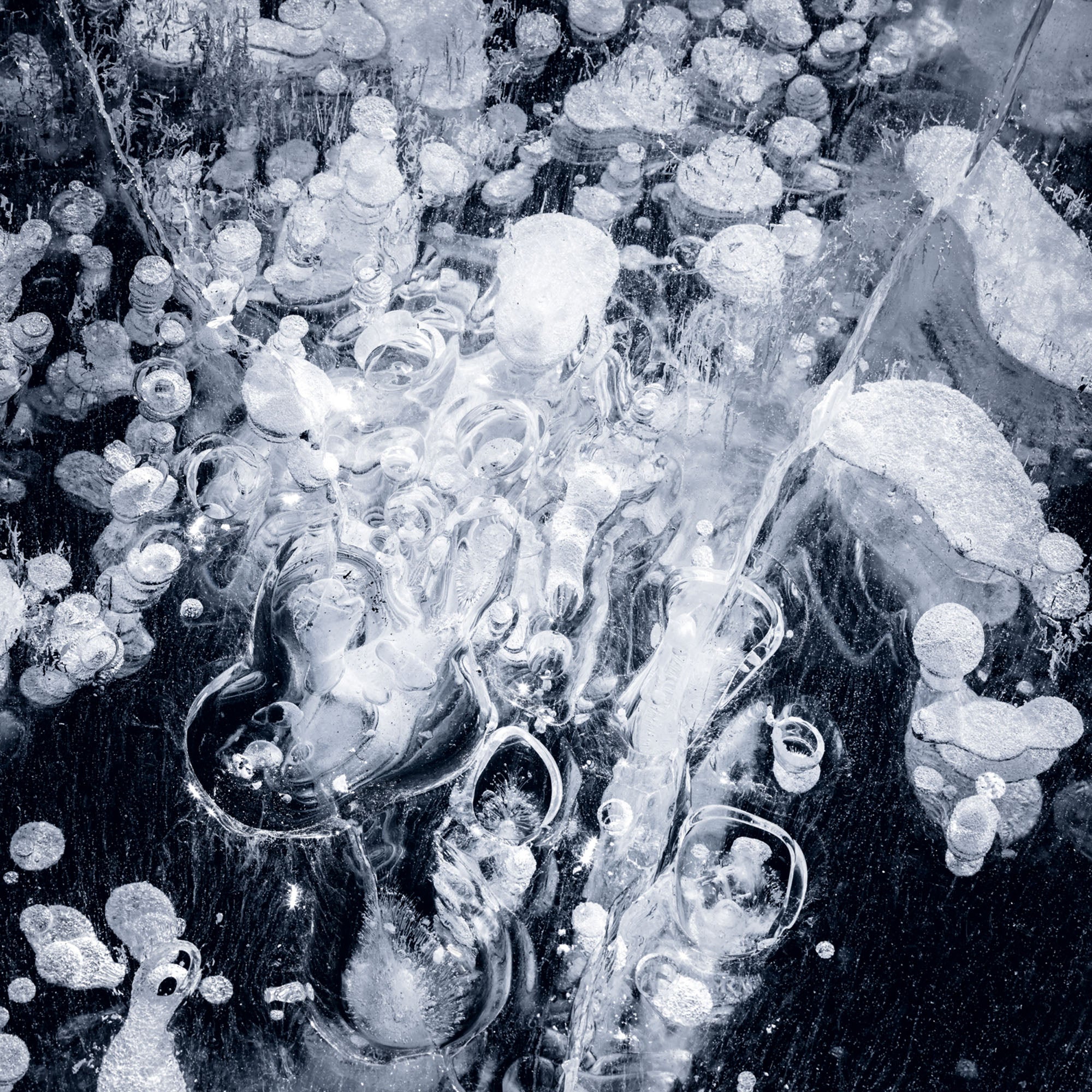 Frozen Bubbles XXV by Tom Jacobi, limited edition photography