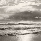 Wind Swept, North Carolina, Atlantic (0618813)