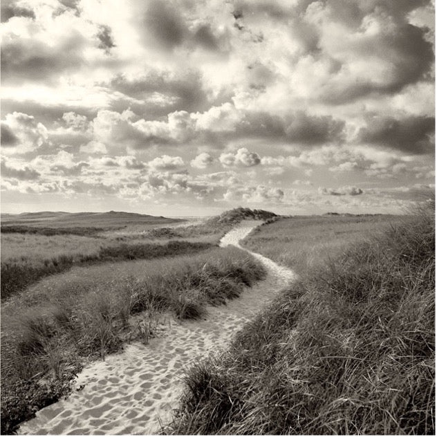 Over the Dunes, Martha's Vineyard , US by Michael Kahn, limited edition photography