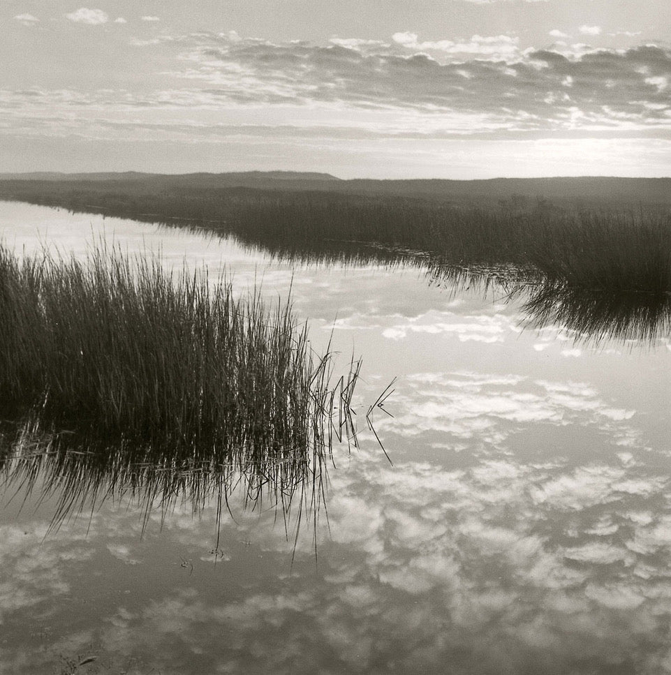 Salt Marsh Reflections by Michael Kahn, limited edition photography