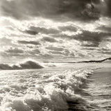 Surf (02918)