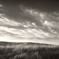 Nantucked Winds