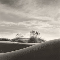 Atlantic Dunes