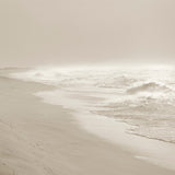 Veiled Surf, Martha’s Vineyard, Atlantic (992694)