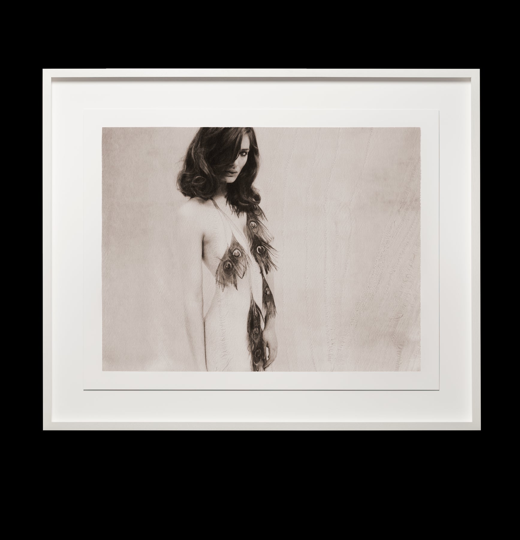feathers (chocolate) by Marc Lagrange, limited edition photography