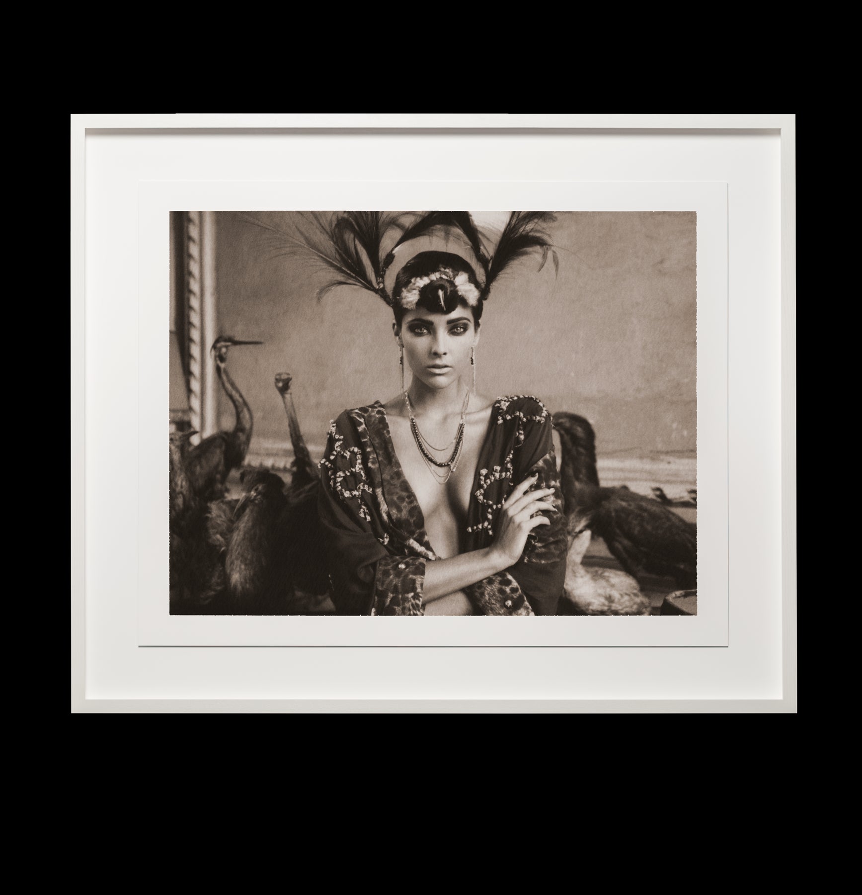 Heron (chocolate) by Marc Lagrange, limited edition photography