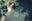 Amongst Lilys (colour) by Marc Lagrange, limited edition photography