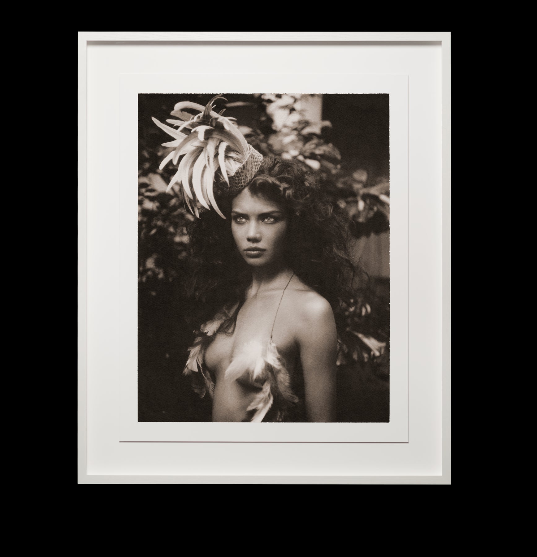 One Reed (chocolate) by Marc Lagrange, limited edition photography