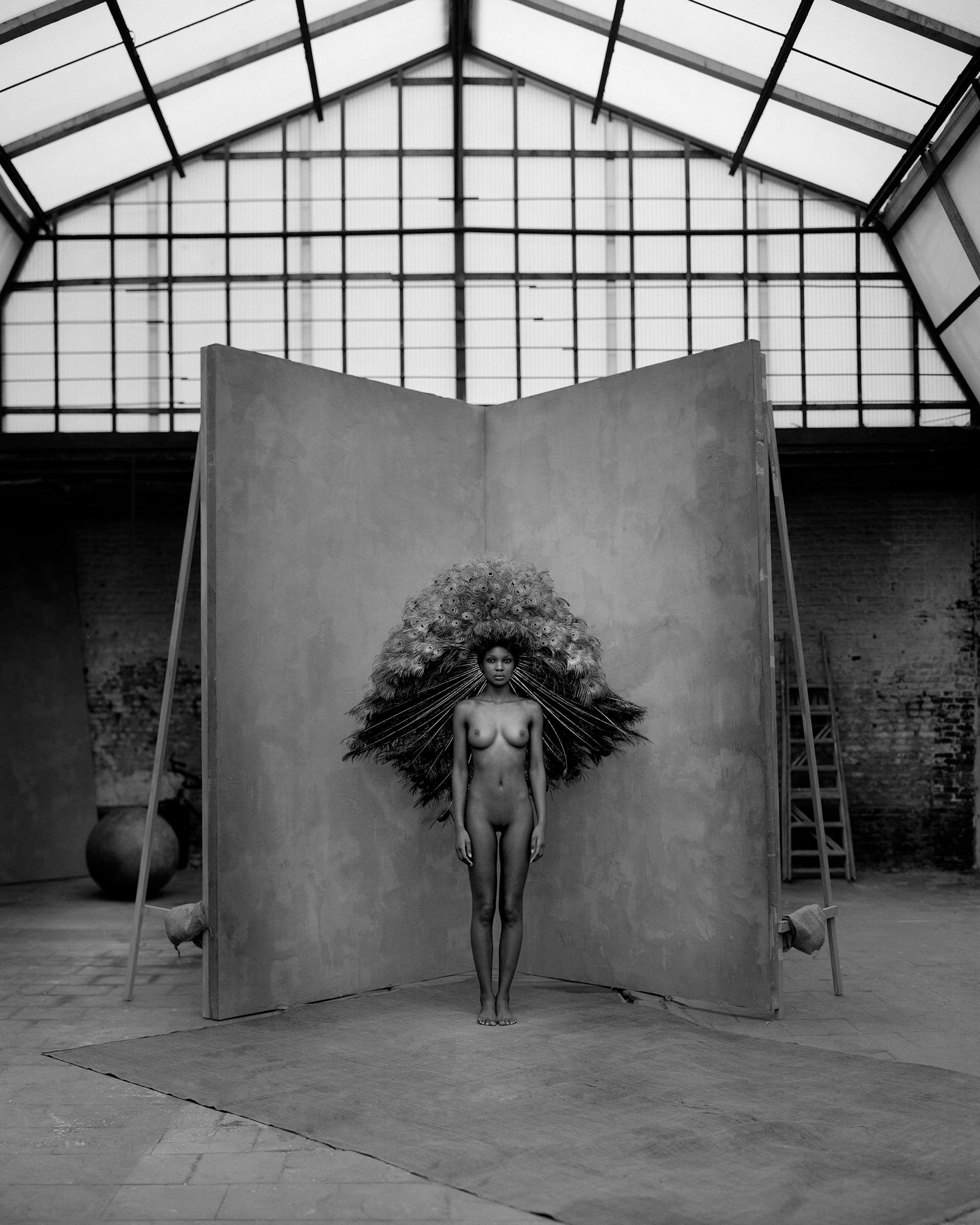 Quetzal (b&w) by Marc Lagrange, limited edition photography