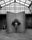 Quetzal (b&w) by Marc Lagrange, limited edition photography