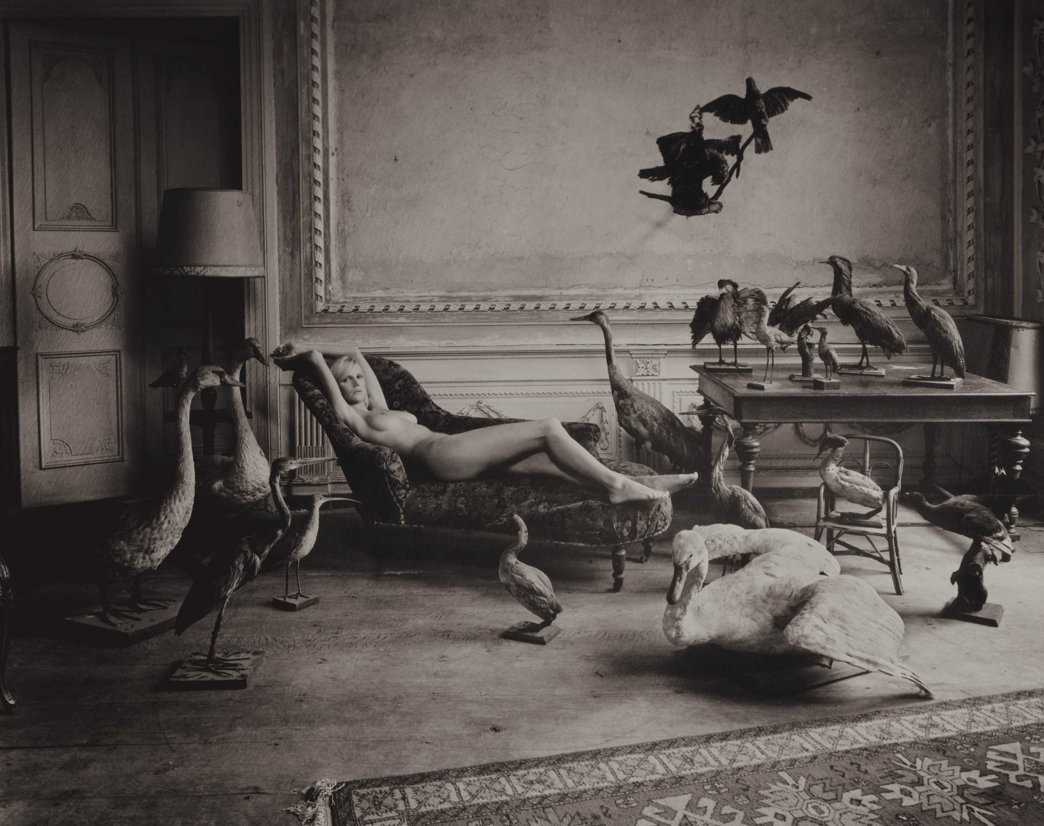 The Birds (sepia) by Marc Lagrange, limited edition photography