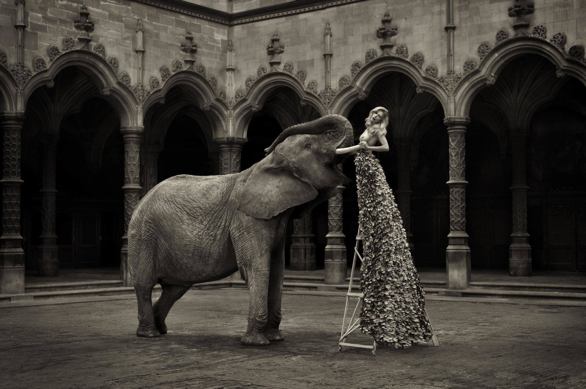 The Elephant in the Room (sepia) by Marc Lagrange, limited edition photography