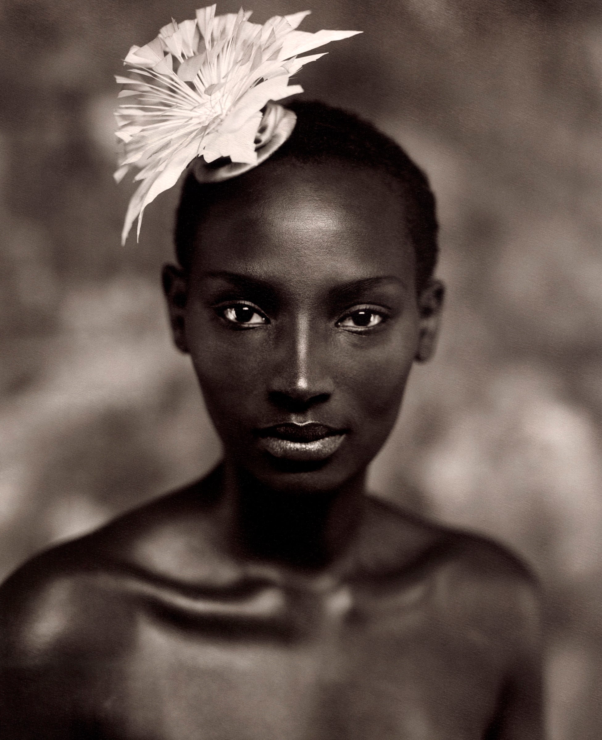 Black Flower (sepia) by Marc Lagrange, limited edition photography