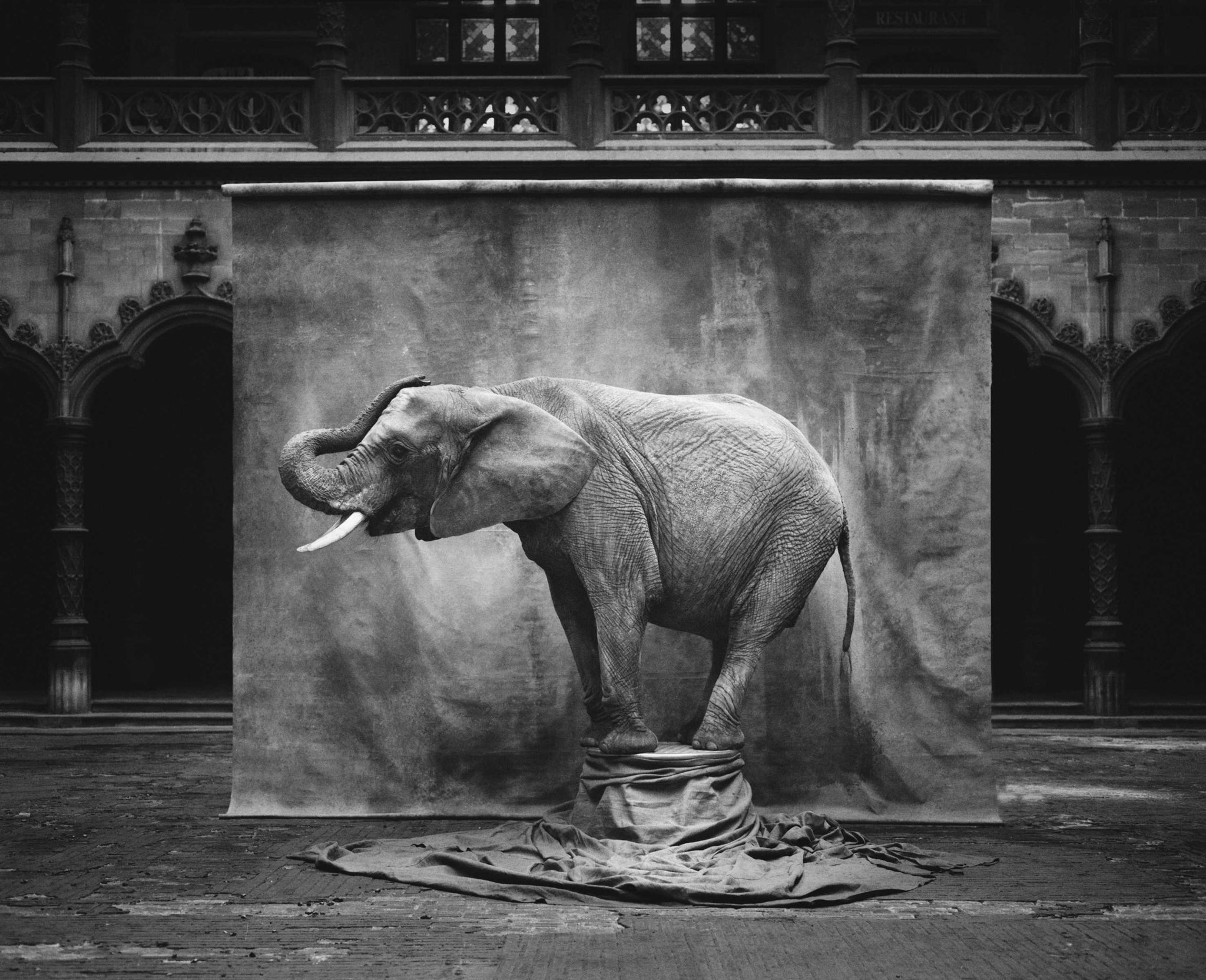 BuBu (b&w) by Marc Lagrange, limited edition photography