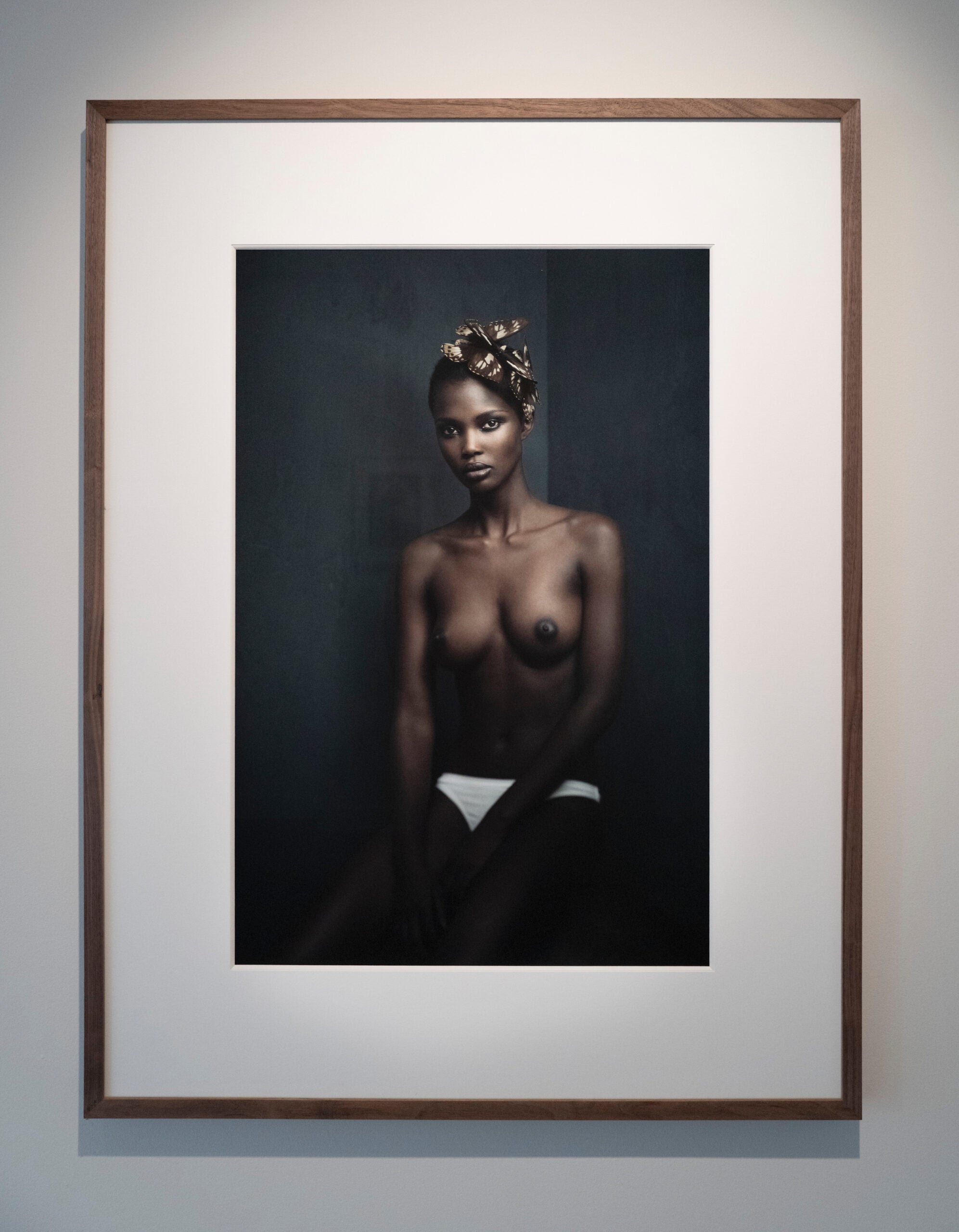 Butterfly (colour) by Marc Lagrange, limited edition photography