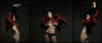Chan Chiu Triptych (colour)