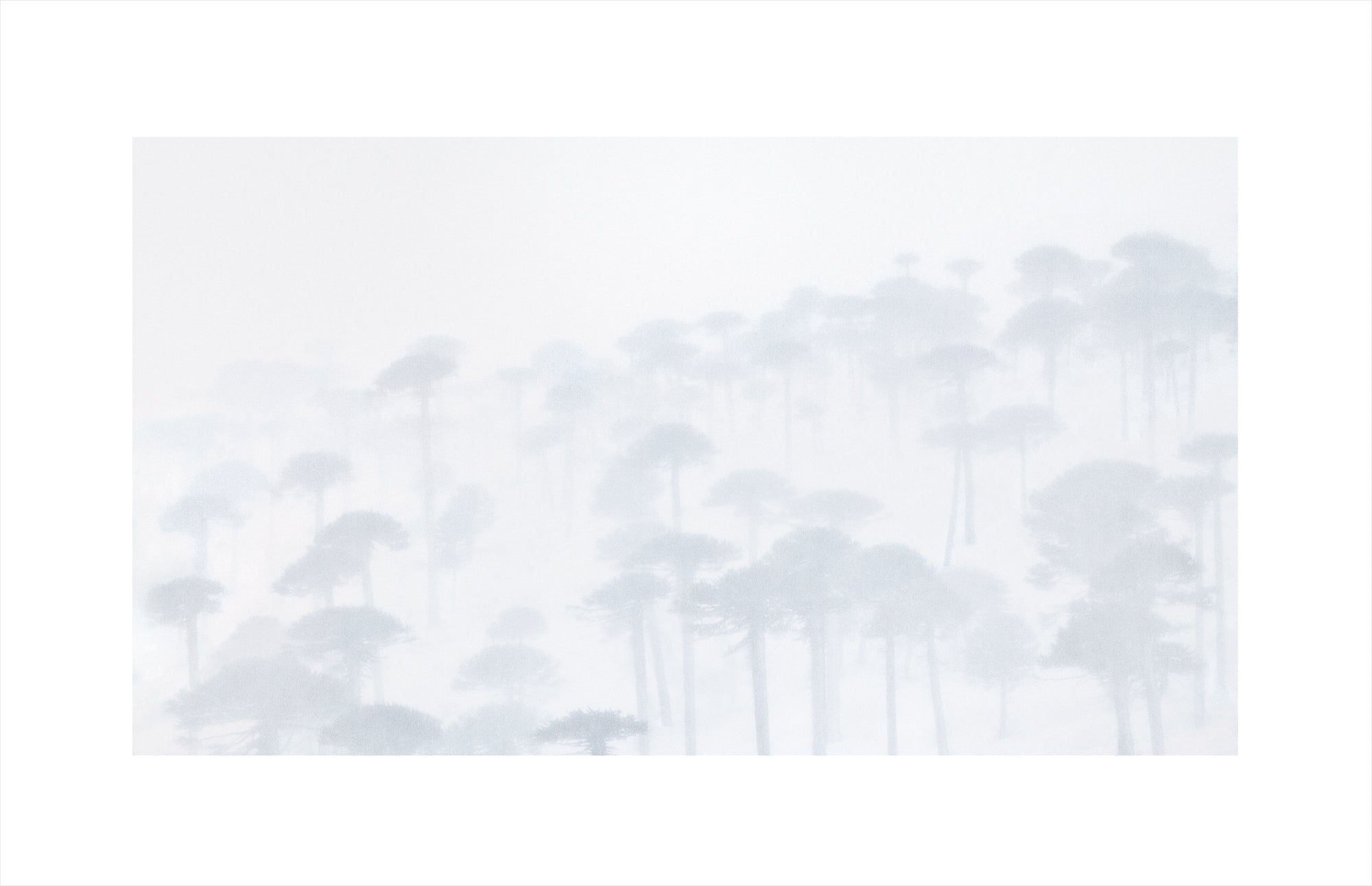 Pale Silence, Patagonian Andes