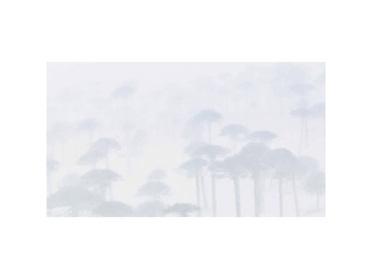 Velvet Silence by Jasmine Rossi, limited edition photography
