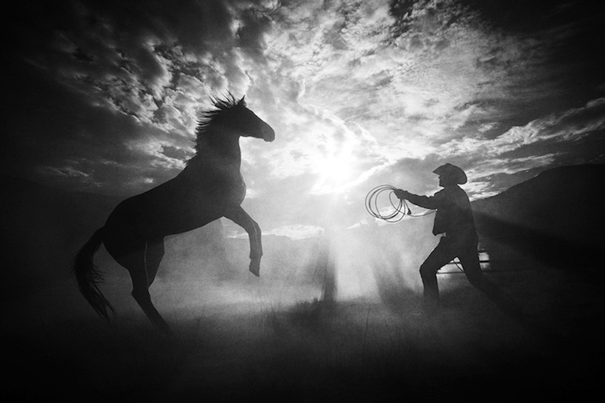 Rearing at Sunset