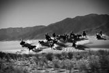 Wild Wild West