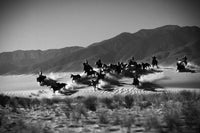 Wild Wild West
