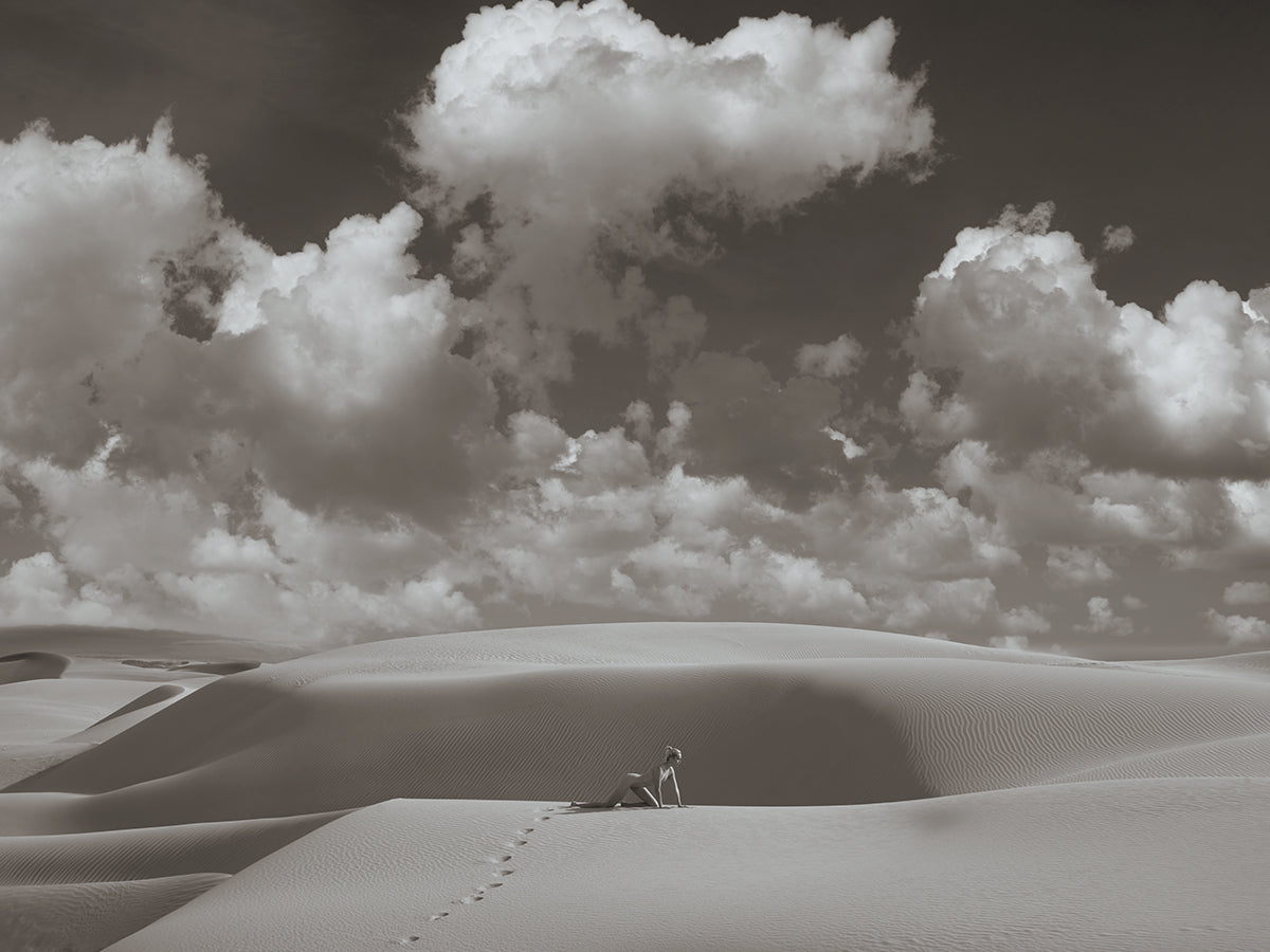 Lioness by Tyler Shields, limited edition photography