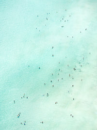 N°TBES15 (The Beach Series, Florida)
