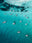 N°TCRBS08 (The Caribean Series, Mexiko) by Tom Hegen, limited edition photography