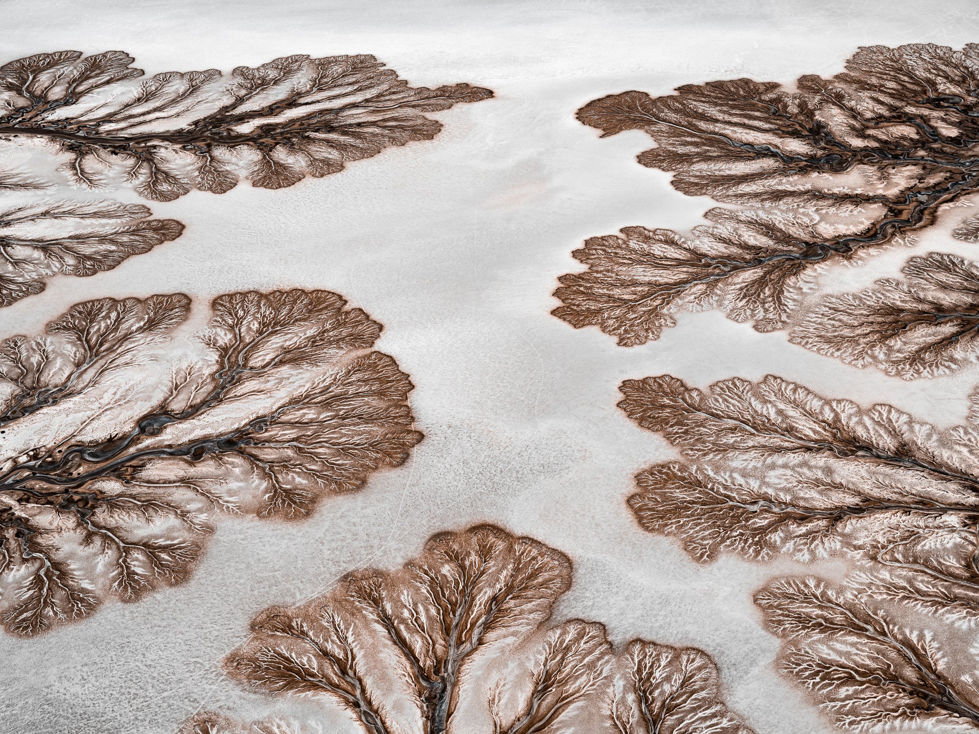 N°TCRDS06 (The Colorado River Delta Series) by Tom Hegen, limited edition photography