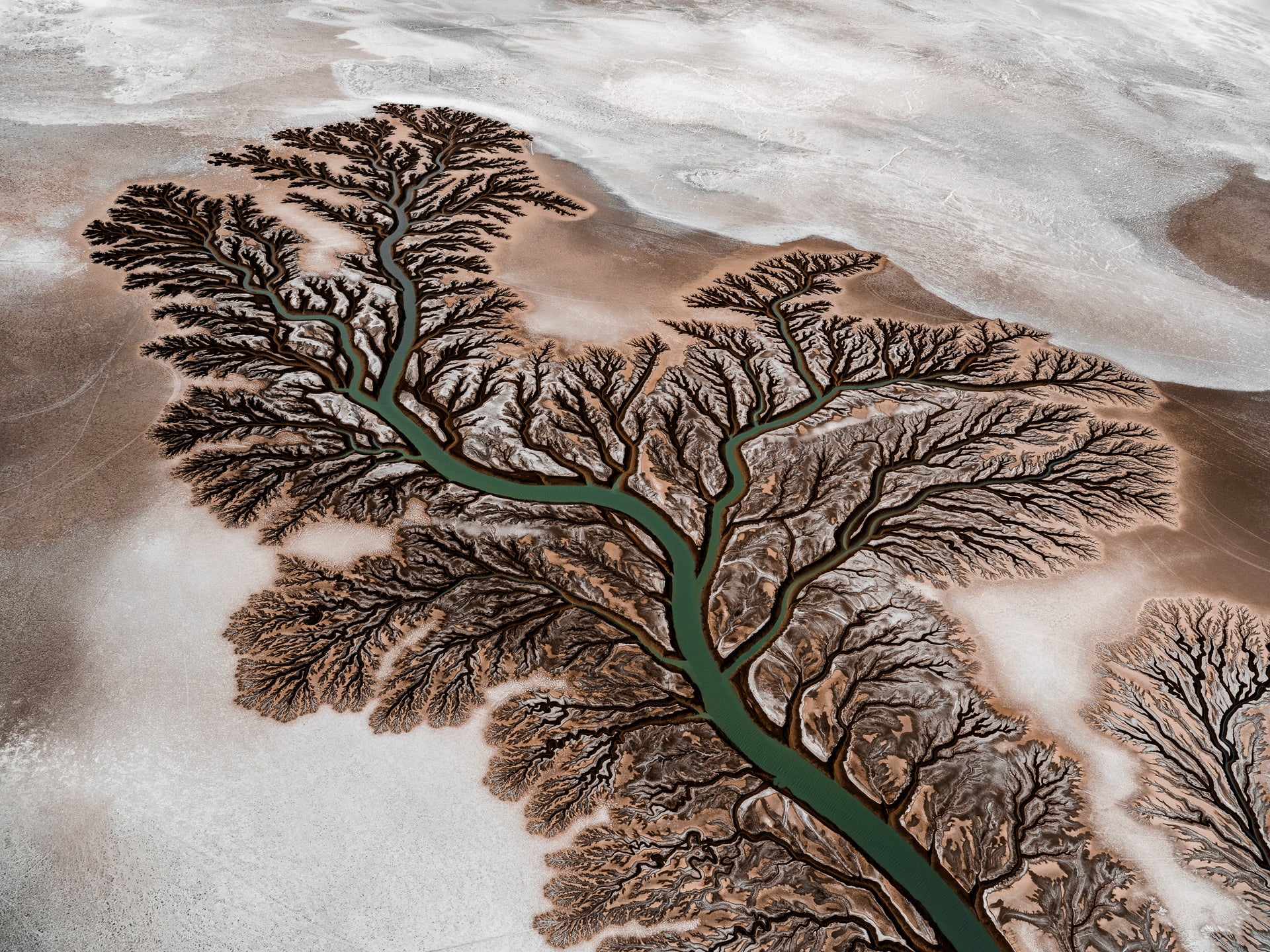 N°TCRDS08 (The Colorado River Delta Series) by Tom Hegen, limited edition photography