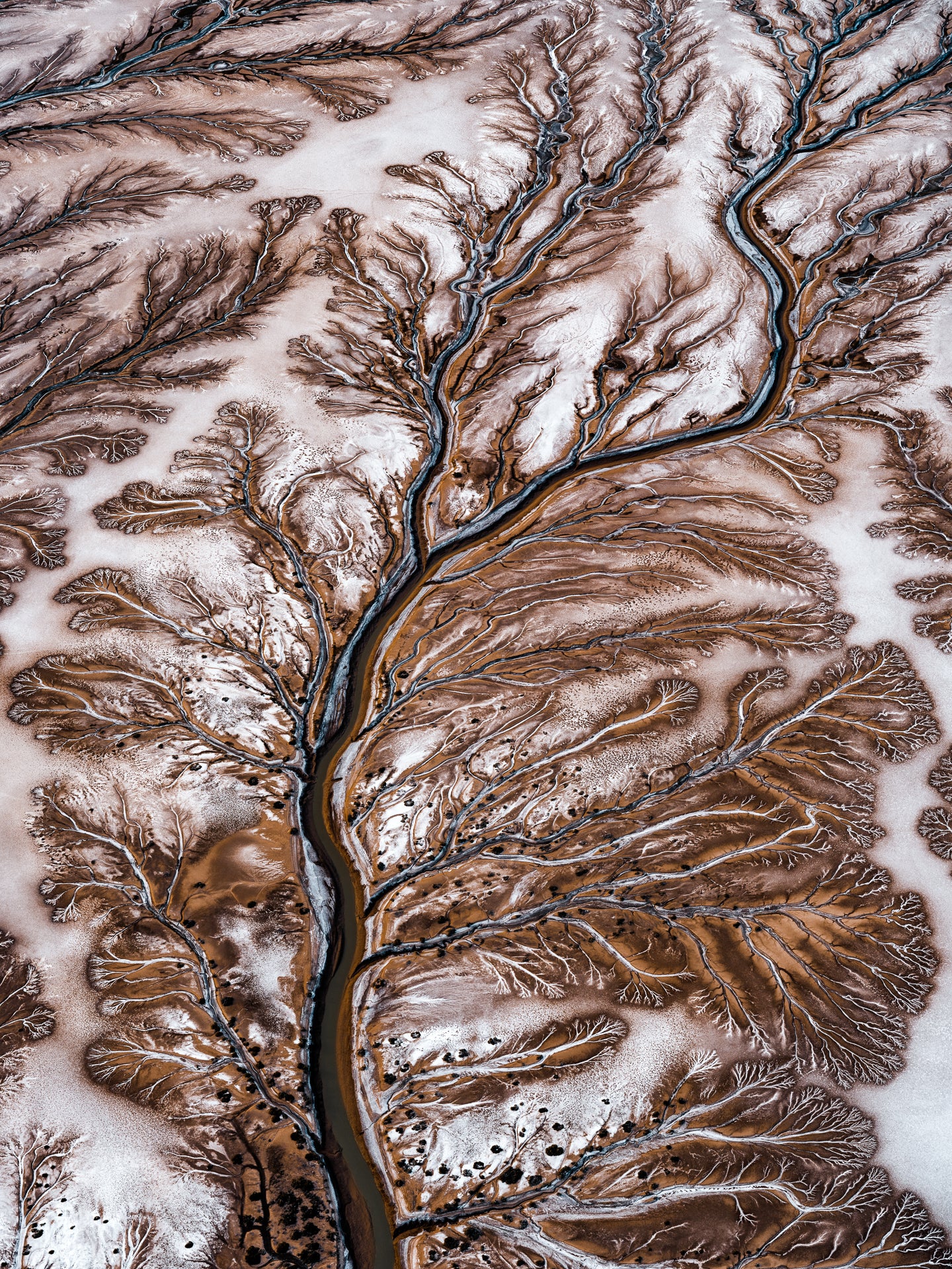 N°TCRDS10 (The Colorado River Delta Series) by Tom Hegen, limited edition photography