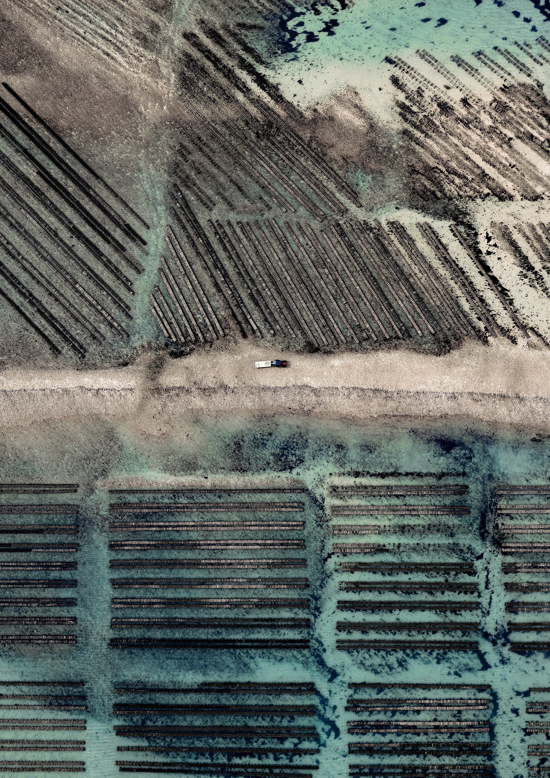 N°TOFS08 (Oyster Farm Series) by Tom Hegen, limited edition photography