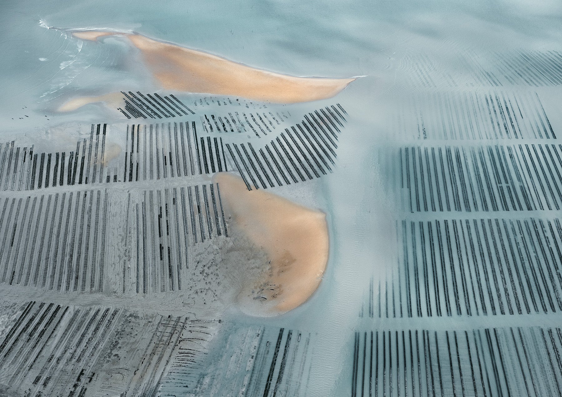 N°TOFS10 (Oyster Farm Series) by Tom Hegen, limited edition photography