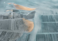 N°TOFS10 (Oyster Farm Series)