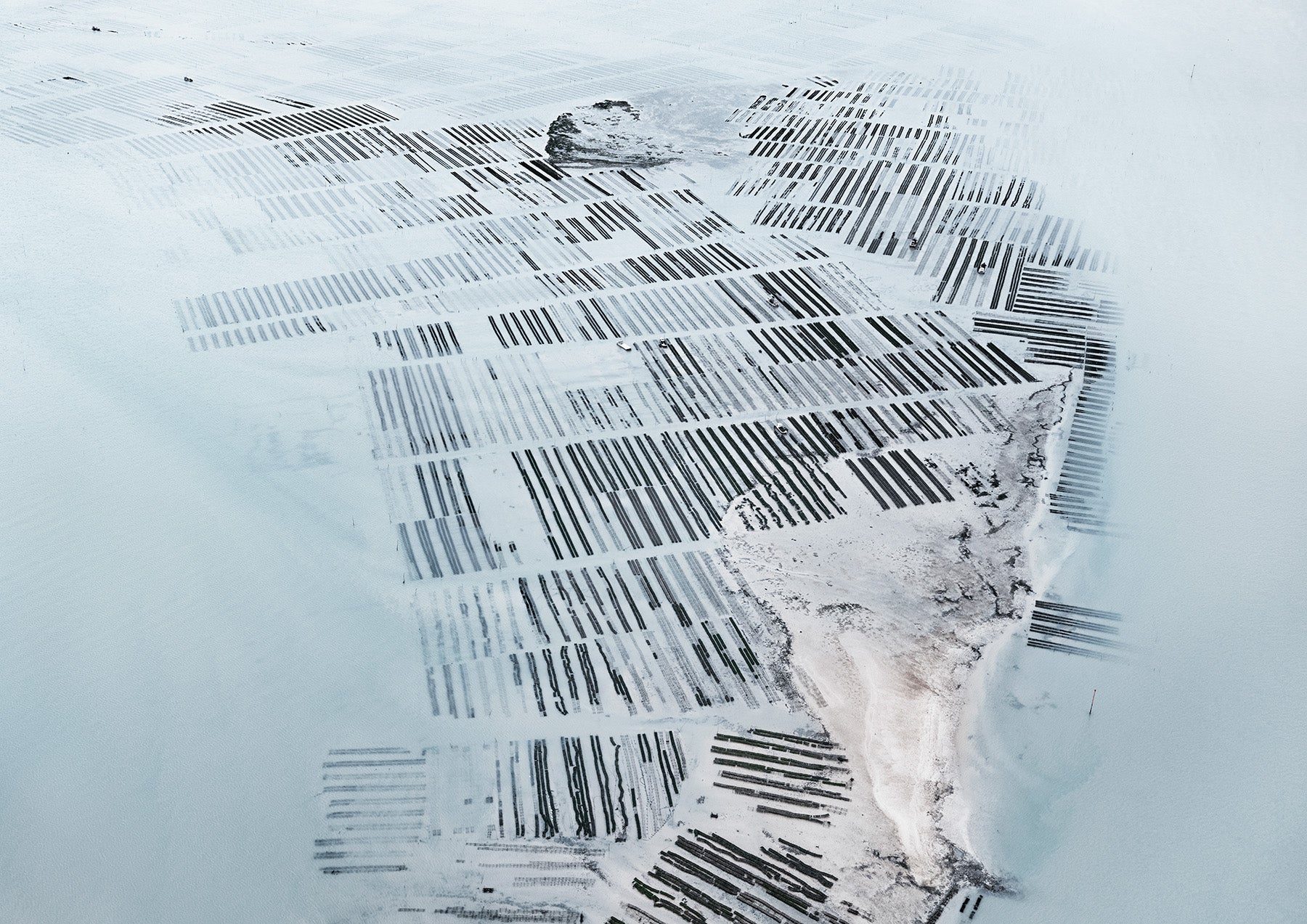 N°TOFS11 (Oyster Farm Series) by Tom Hegen, limited edition photography