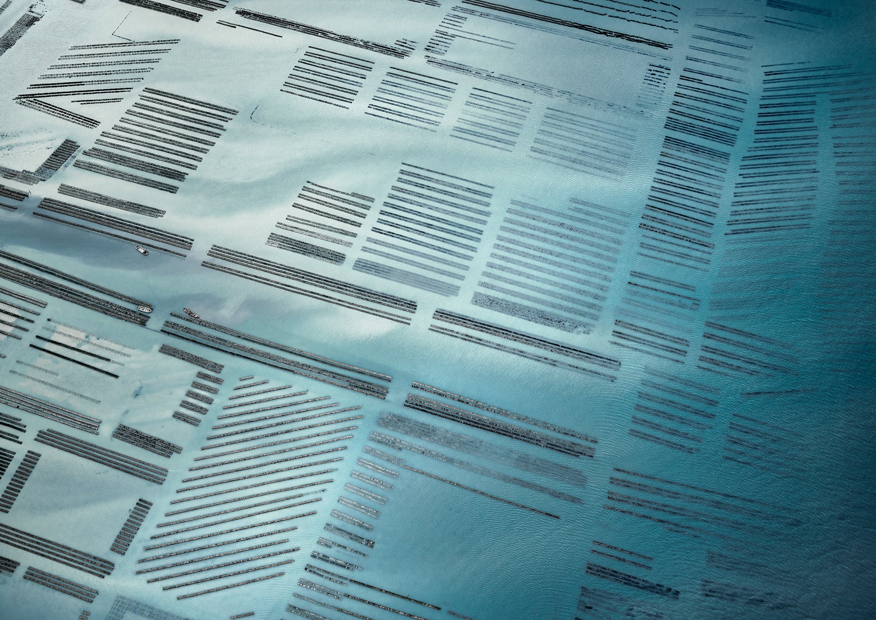 N°TOFS13 (Oyster Farm Series) by Tom Hegen, limited edition photography