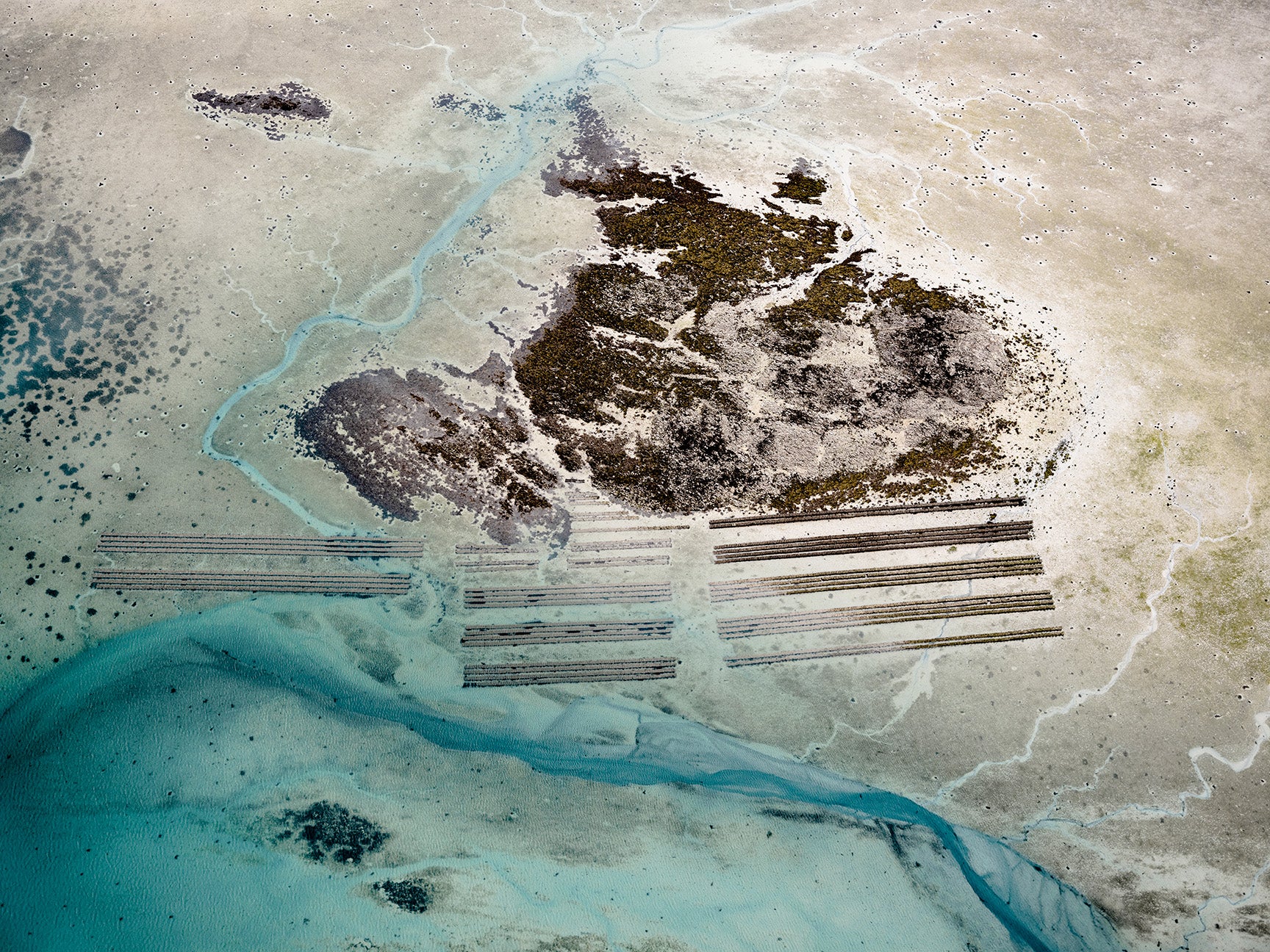 N°TOFS14 (Oyster Farm Series) by Tom Hegen, limited edition photography