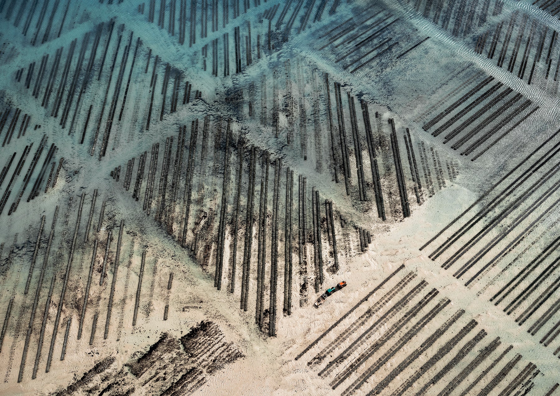 N°TOFS15 (Oyster Farm Series) by Tom Hegen, limited edition photography