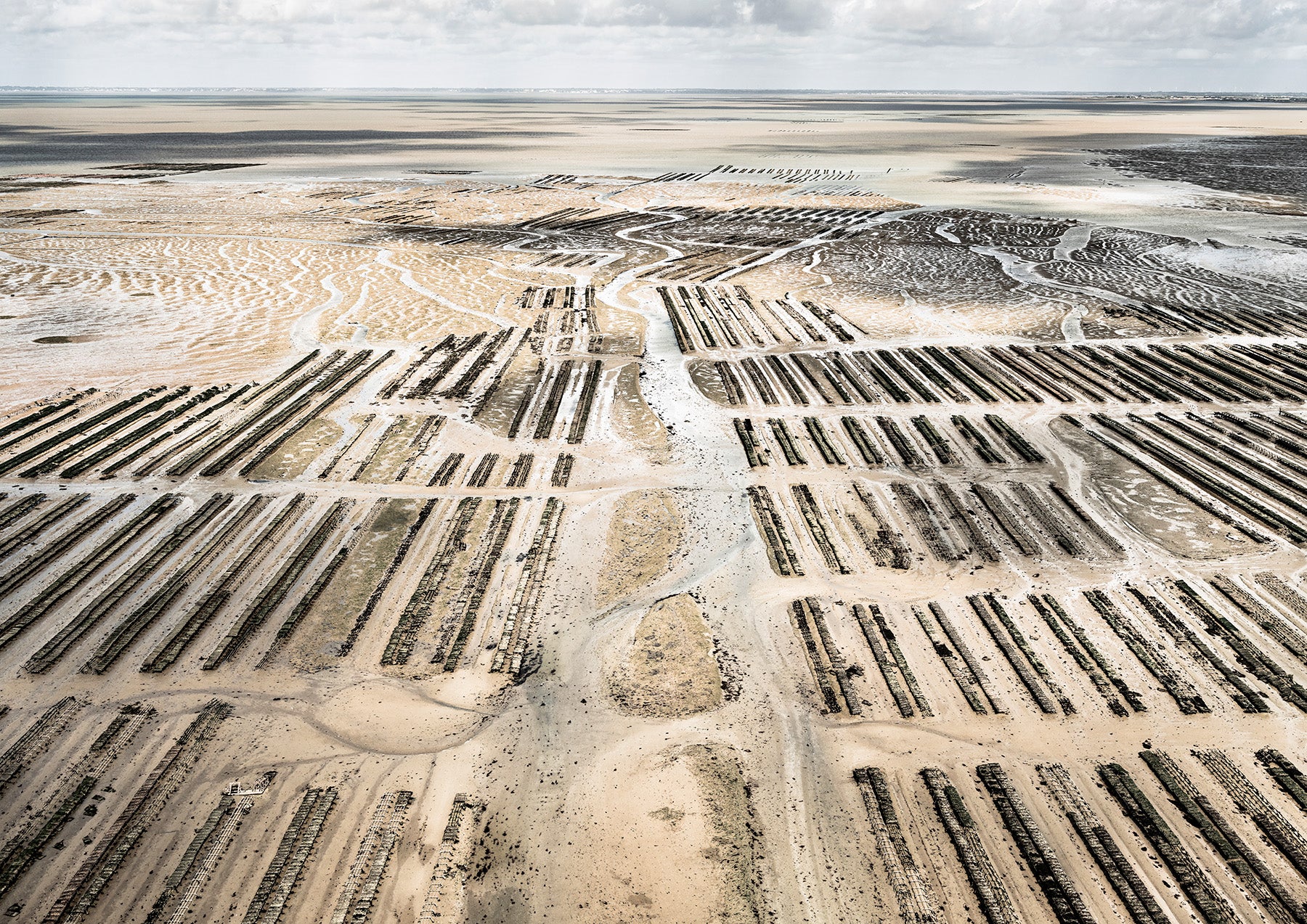 N°TOFS17 (Oyster Farm Series) by Tom Hegen, limited edition photography