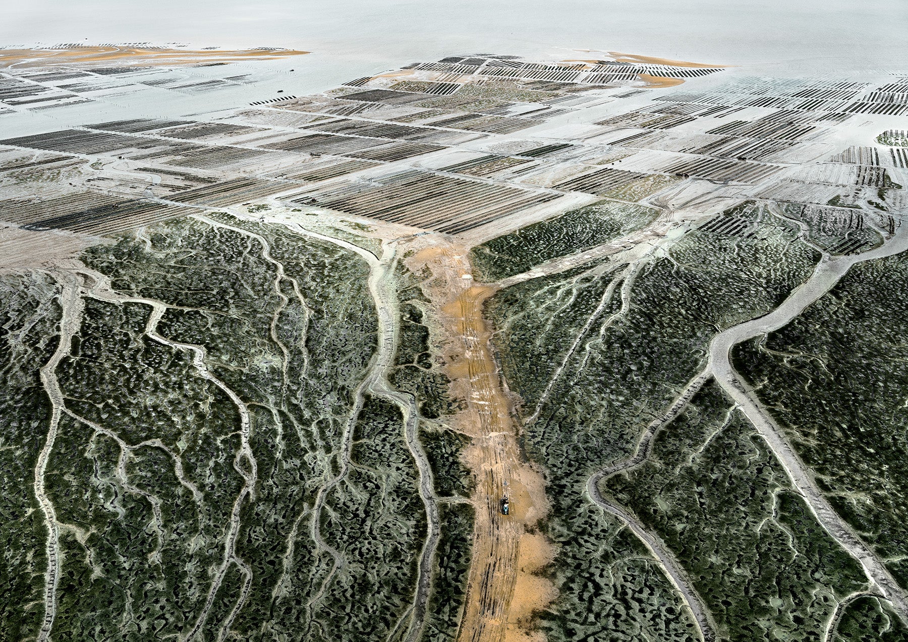 N°TOFS18 (Oyster Farm Series) by Tom Hegen, limited edition photography