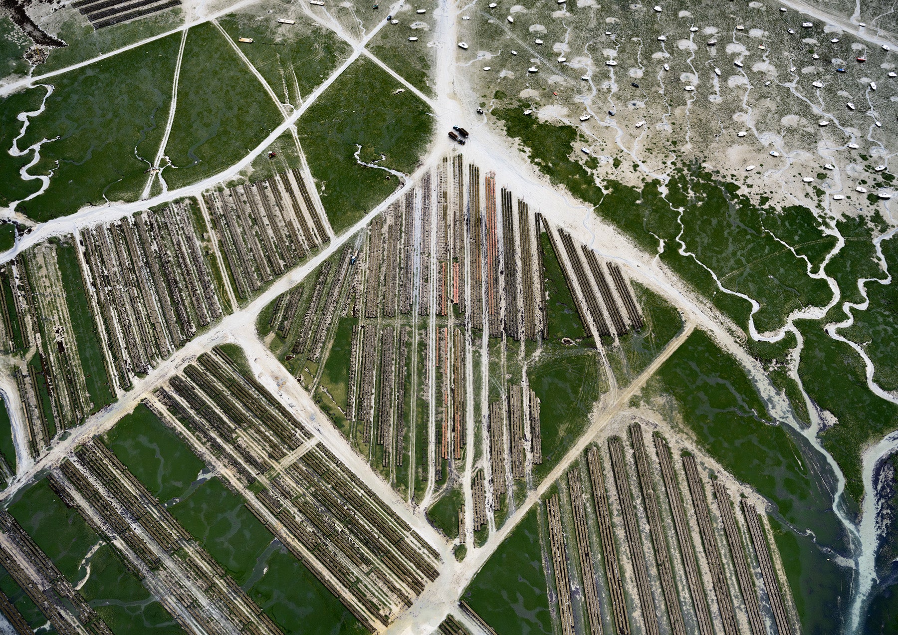 N°TOFS19 (Oyster Farm Series) by Tom Hegen, limited edition photography