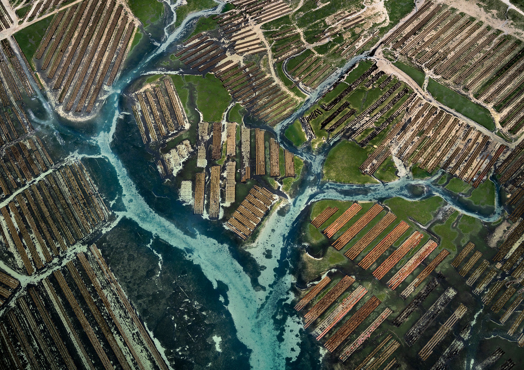 N°TOFS21 (Oyster Farm Series) by Tom Hegen, limited edition photography