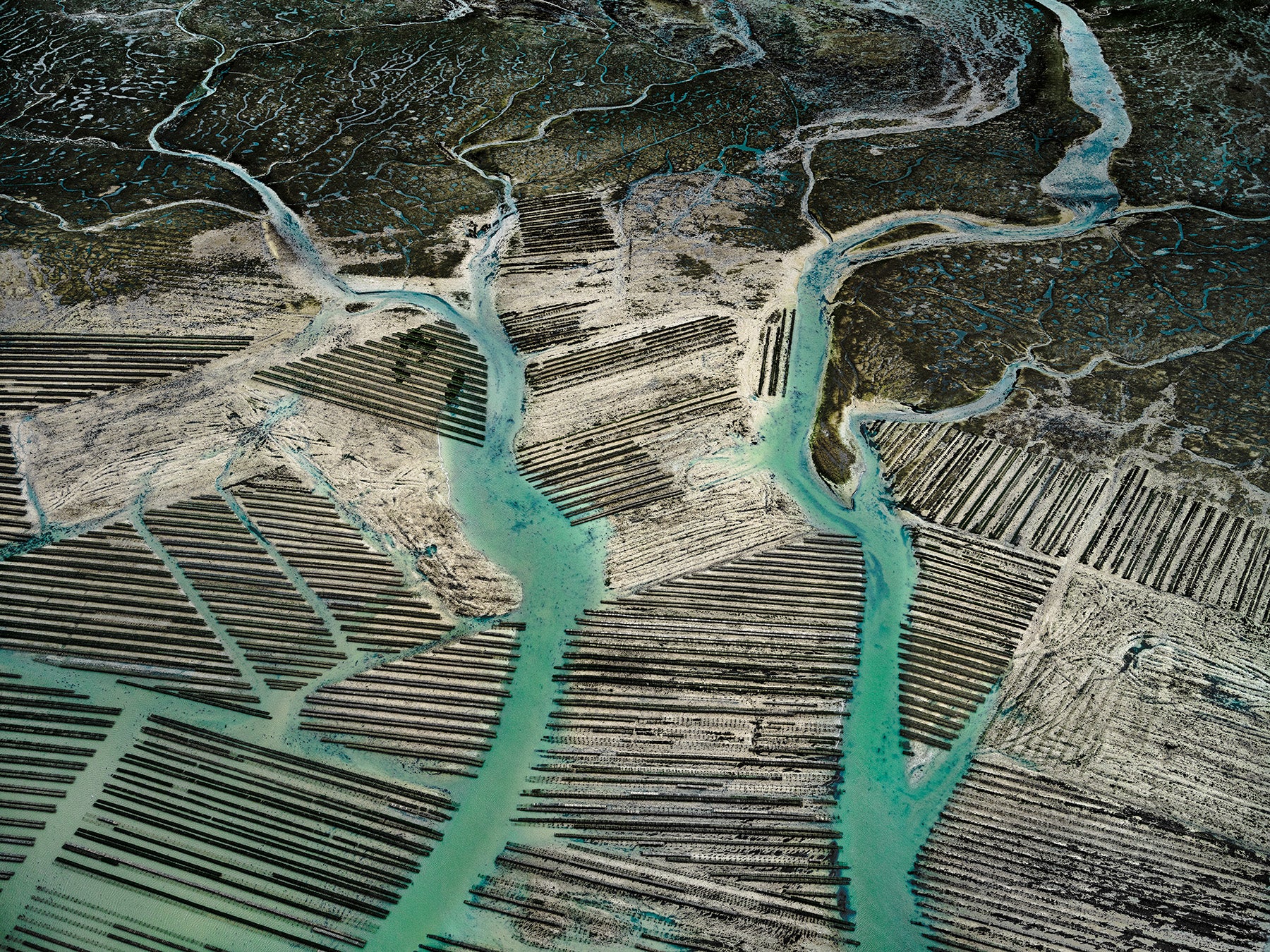 N°TOFS22 (Oyster Farm Series) by Tom Hegen, limited edition photography