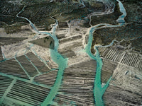 N°TOFS22 (Oyster Farm Series)