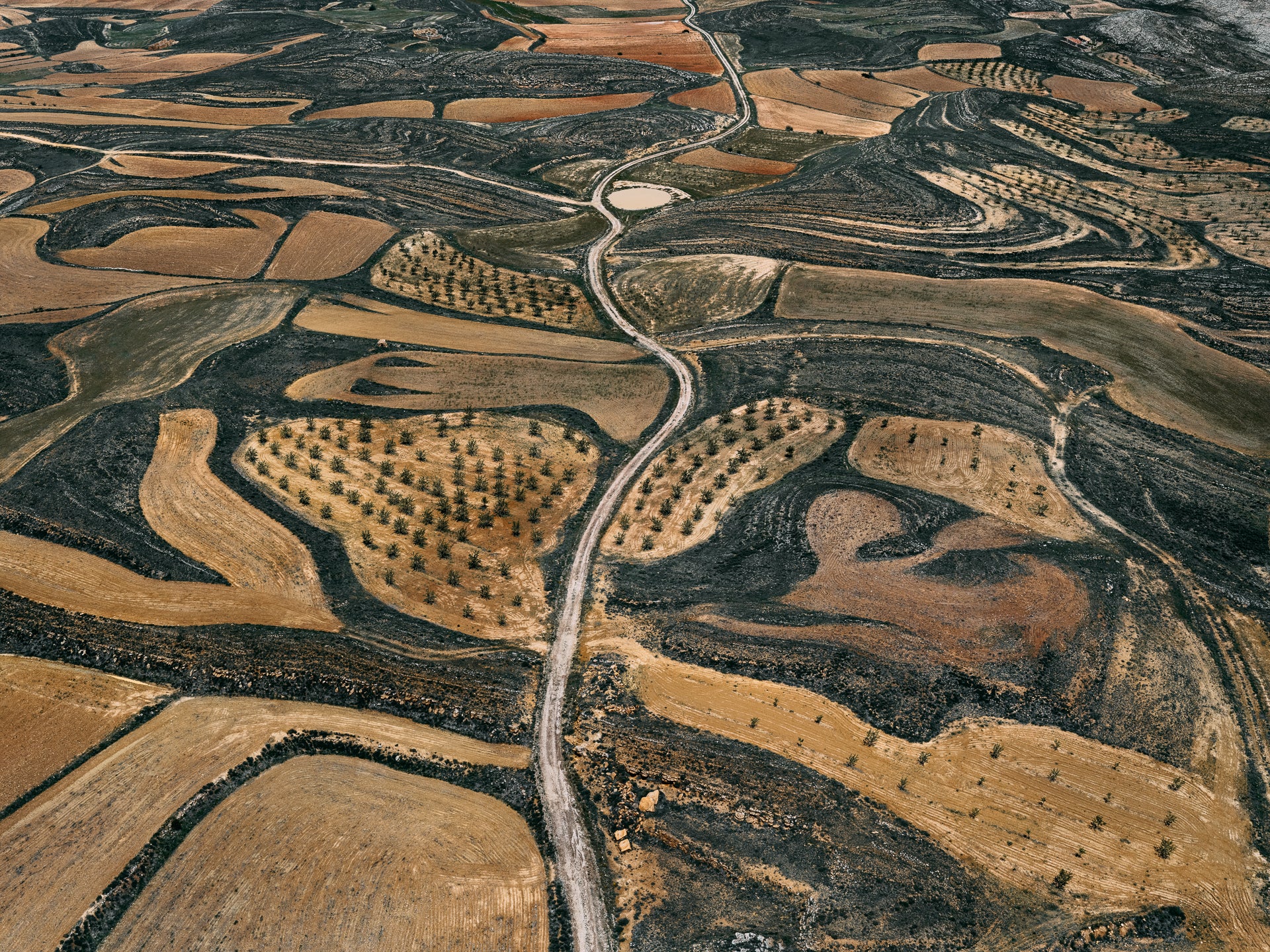 N°TSFSII03 (The Spanish Farmland Series II, Spain) by Tom Hegen, limited edition photography