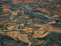 N°TSFSII04 (The Spanish Farmland Series II, Spain)