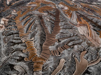 N°TSFSII07 (The Spanish Farmland Series II, Spain)