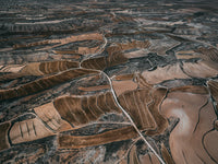 N°TSFSII08 (The Spanish Farmland Series II, Spain)